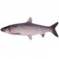 Grass Carp Fish Shaped Photo Soft Stuffed Decorative Pillow