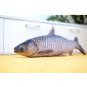 Grass Carp Fish Shaped Photo Soft Stuffed Decorative Pillow