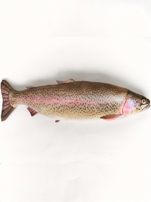 Trout Fish Shaped Photo Soft Stuffed Decorative Pillow