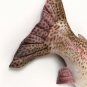 Trout Fish Shaped Photo Soft Stuffed Decorative Pillow