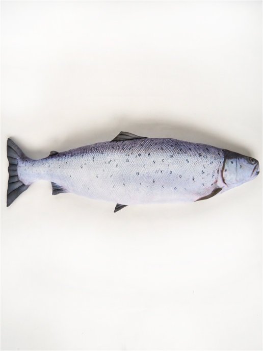 Salmon Fish Shaped Photo Soft Stuffed Decorative Pillow