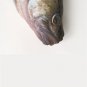 Walleye Fish Shaped Photo Soft Stuffed Decorative Pillow