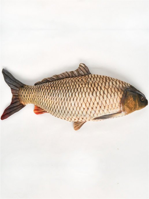 Carp Fish Shaped Photo Soft Stuffed Decorative Pillow