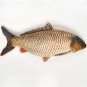 Carp Fish Shaped Photo Soft Stuffed Decorative Pillow