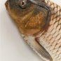 Carp Fish Shaped Photo Soft Stuffed Decorative Pillow