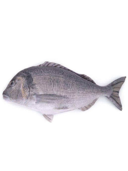 Gilt-head Bream Fish Shaped Photo Soft Stuffed Decorative Pillow