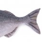 Gilt-head Bream Fish Shaped Photo Soft Stuffed Decorative Pillow