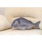 Gilt-head Bream Fish Shaped Photo Soft Stuffed Decorative Pillow