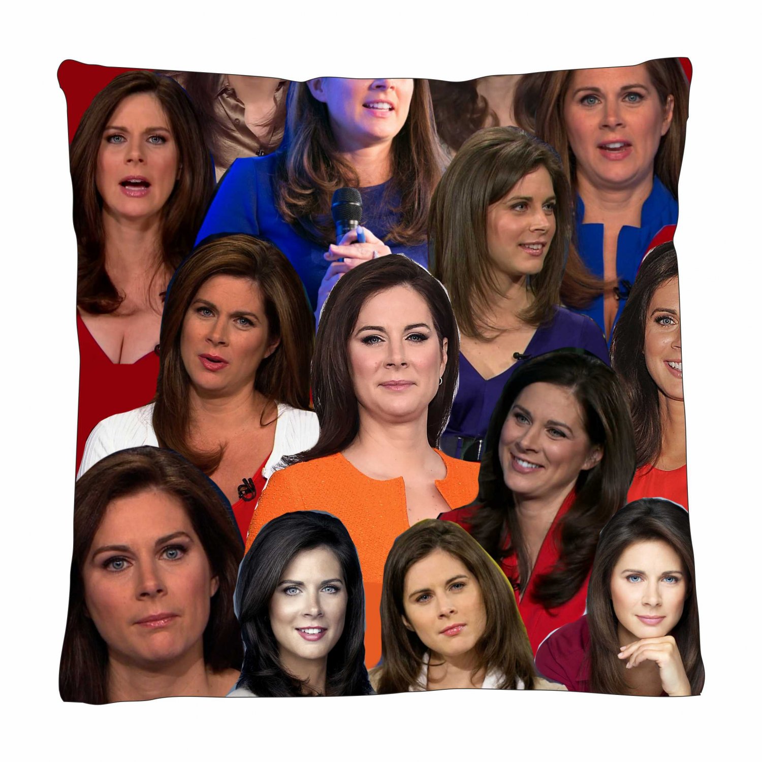 Erin Burnett Photo Collage Pillowcase 3D