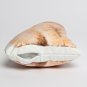 Exotic Shorthair Cat  Shaped Photo Soft Stuffed Decorative Pillow with a zipper