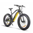 Best Electric Bike 750W 48V 12.8 AH 7 Speed Bicycle BAFANG Motor 4.0 Fat Tire Lithium Battery