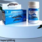 20 Box Herbal PRO ALBUMIN - Snakehead Fish Extract Capsules for wound healing