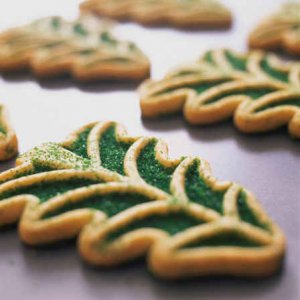 444 Scrumptious HOLIDAY COOKIE RECIPES eBOOK Cookbook