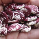 Madagascar Red Lima Beans 8 rare edible vegetable seeds