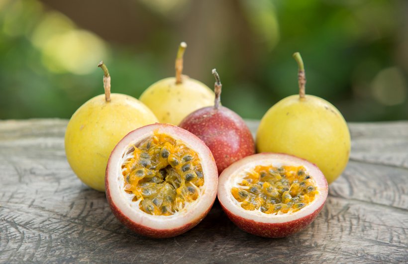 Passionfruit (Panama Gold) Seeds 25+ Seed each