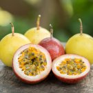 Passionfruit (Panama Gold) Seeds 25+ Seed each