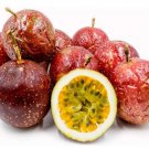 PANAMA RED PASSION FRUIT, 50+ FRESH SEEDS, LARGE FRUIT