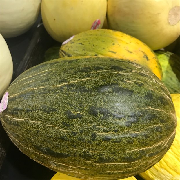 SANTA CLAUS MELON, PIEL DE SAPO, 20+ FRESH SEEDS, FRUIT KEEPS WELL, TASTY, SWEET