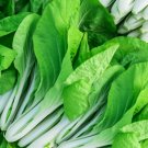 BOK CHOY SEEDS(Brassica rapa Chinensis); Easy growing plant for Asian dishes