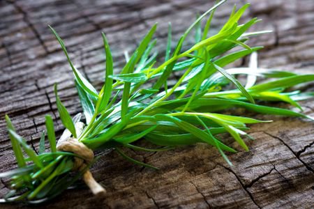 Fresh Seeds TARRAGON (Russian) - 200 Seeds