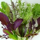 Chinese Oriental Mix F1 Hybrid - 100 Seeds >Stirfry >Asian >Cooking EASY to Grow