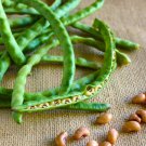 Black Eyes Peas - 20 Seeds > Organic >Heirloom > Black Eyed Bean >Garden
