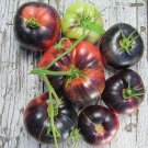 Blue Beauty Tomato - 10 Seeds > Organic >Heirloom > Exotic >Rare >Unique