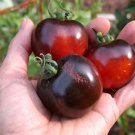 Red & Black Tomato - 25 Seeds >Heirloom > Organic >Vegetable >Garden > Summer