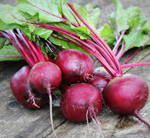 BEETROOT Detroit Red - 120 Seeds - Fresh Seeds
