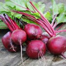 BEETROOT Detroit Red - 120 Seeds - Fresh Seeds