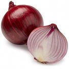 Red Onion Seeds - 100 Seeds - Fresh Seeds