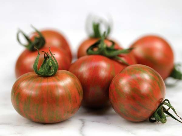 Purple Bumble Bee Tomato - 25 Seeds >Heirloom >Exotic >Rare >Colorful >Unique