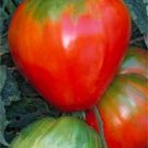 Pink Love Apple - 25 Seeds >Organic > Heirloom > Summer Garden Veggie