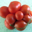Reisetomate Tomato - 15 Seeds >Organic > Heirloom > Summer Garden >Unique