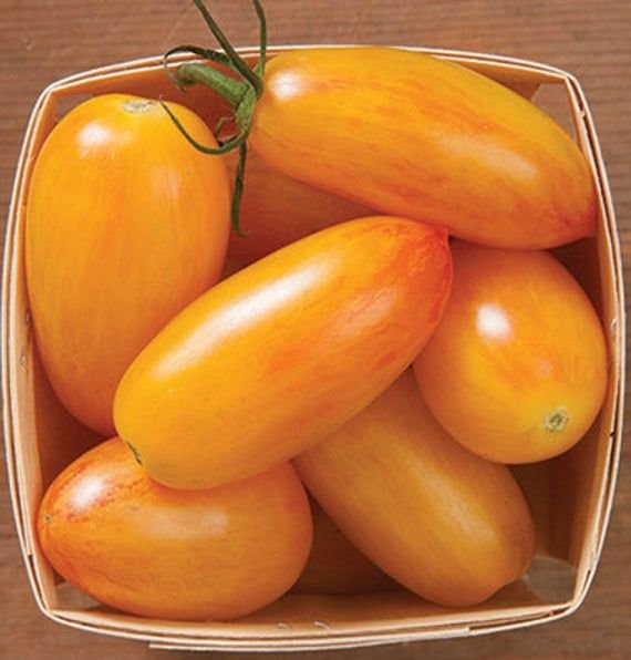 Blush Tomato - 15 Seeds >Organic > Heirloom >Artisan > Rare >Unique
