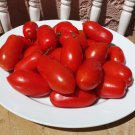Mini Amish Tomato - 15 Seeds >Organic > Heirloom >Artisan > Rare > Best Taste!