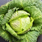 Savoy Cabbage (Winter King B. Oleracea) - 70 Seeds