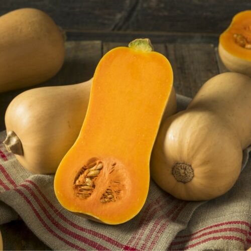 Honey Nut Nectar Pumpkin - 10 Seeds >Organic > Heirloom > Unique >Butternut