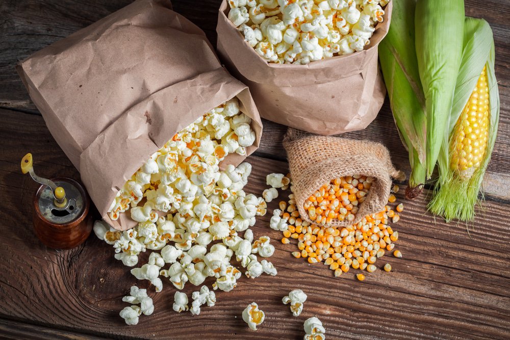 Popcorn for growing - 25 seeds - Fresh Seeds