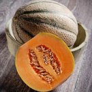 Papayadew Rockmelon F1 - 10 Seeds - Vegetable Garden Fruit Cantaloupe Melon