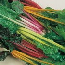 Silverbeet (Rainbow Chard) - 50 seeds - Vegetable Garden Colour!! Stem Colours!!