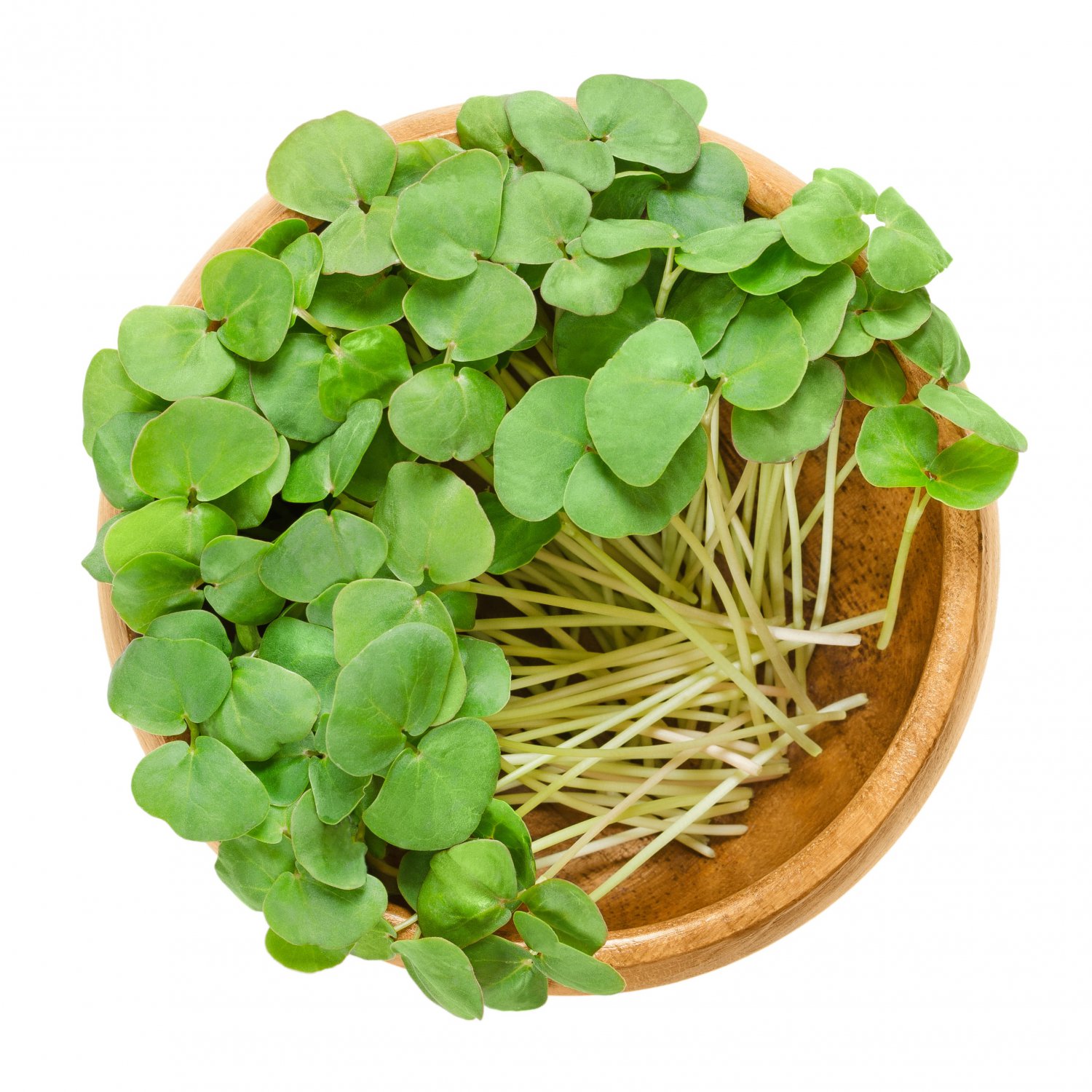 Buckwheat - 300 Seeds > Sprouting > Microgreens > Salads