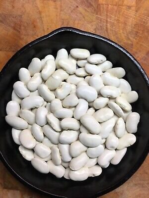 Haricot Beans - 30 seeds - Fresh Seeds