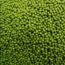 Mung bean / Green Gram Bean - 30 Seeds - Easy To Grow