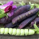 Purple Podded Peas - 20 Organic Seeds > Easy to grow >Rare >Spring Vegetables