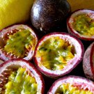 Purple/Black Passionfruit (Passiflora edulis) 20 Seeds