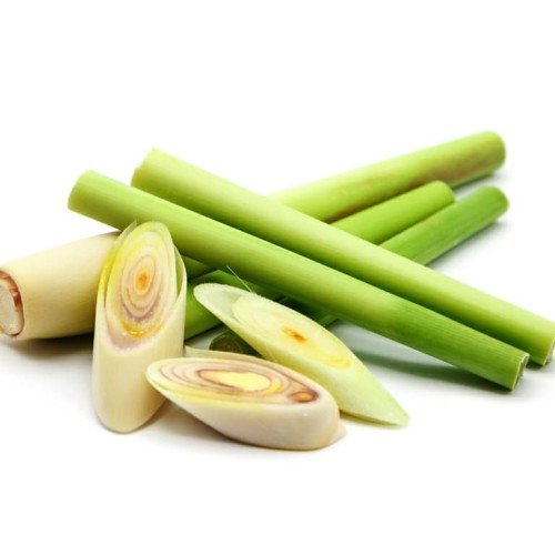 Lemon Grass (Cymbopogon Citratus) - 15 Seeds - best cooking lemongrass!