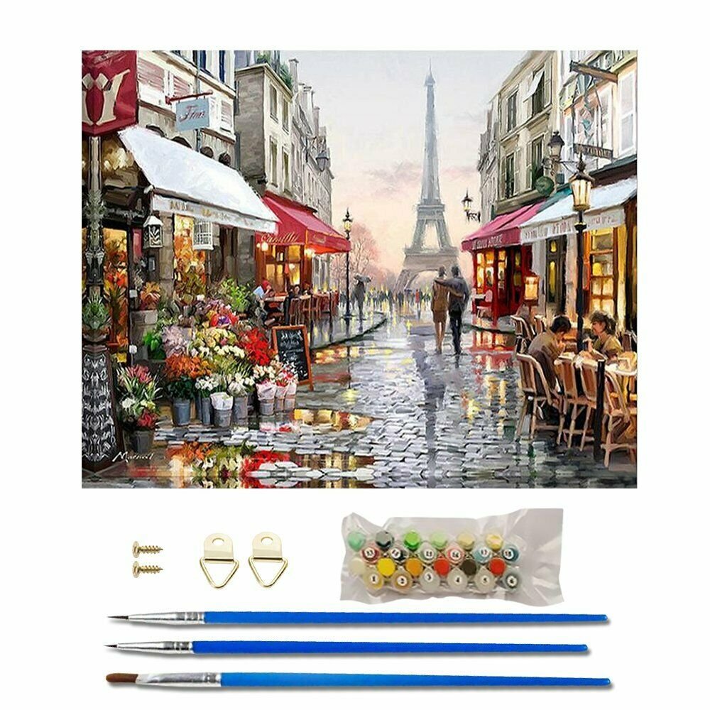 PARIS 40*50CM Scenery Animal DIY Paint By Numbers Kit Digital Oil Painting Artwork Home Decor~