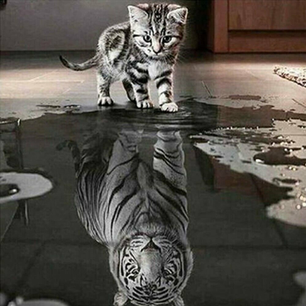 CAT & TIGER 30*30CM DIY 5D Diamond Painting Crystal Cross Stitch Hand Embroidery Art