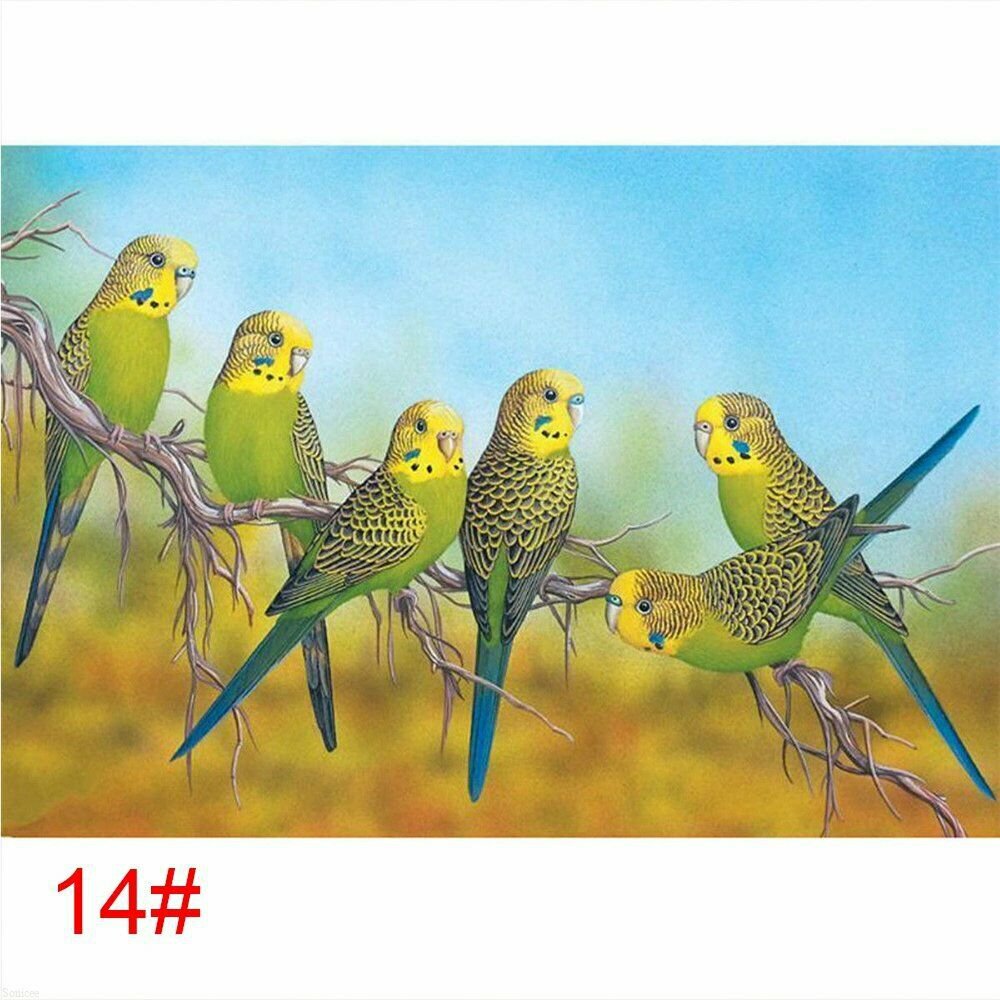 BIRD 14# 30*40CM DIY 5D Diamond Painting Crystal Cross Stitch Hand Embroidery Art